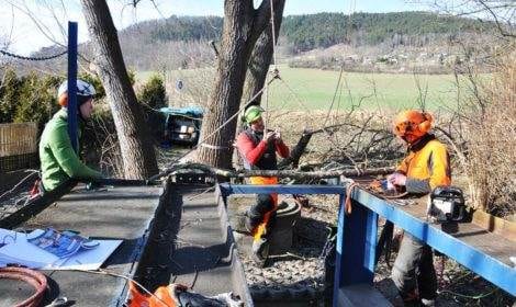 Entsorgungsarbeiten 9 Entsorgungsarbeiten