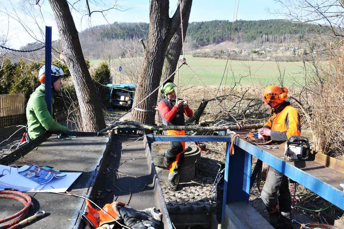 Entsorgungsarbeiten 4 DSC 0320