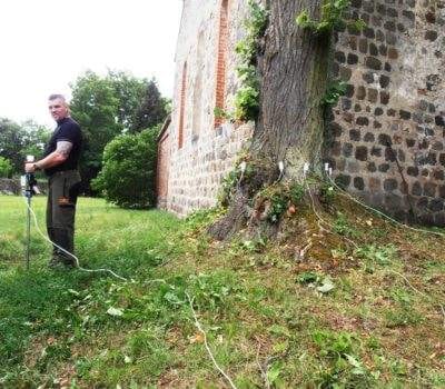 Messung der Baumgesundheit II 14 Messung der Baumgesundheit II